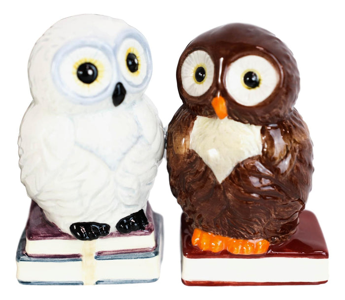 Snow White And Great Horned Brown Owls On Books Ceramic Salt Pepper Shakers Set
