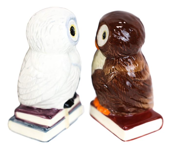 Snow White And Great Horned Brown Owls On Books Ceramic Salt Pepper Shakers Set