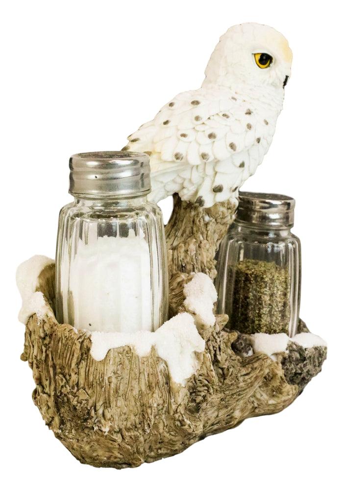 Snow White Owlet Owl On Snowy Branch Glass Salt Pepper Shakers Holder Figurine