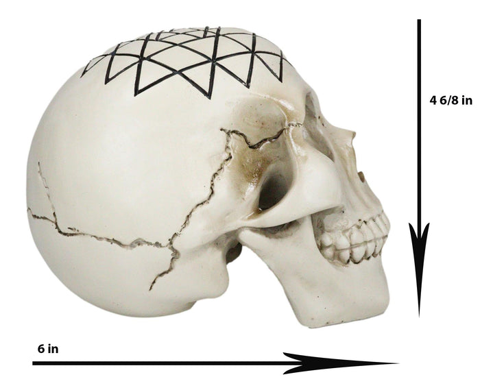 Spiritual Sacred Geometry Sri Yantra Shri Chakra Vastu Symbol Skull Figurine