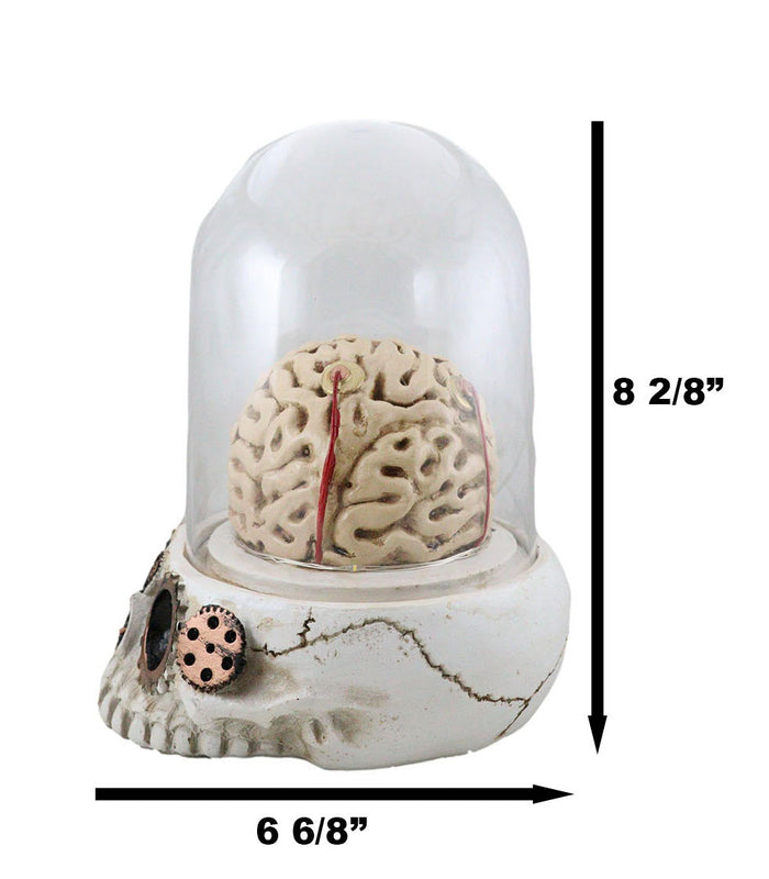 Steampunk Apothecary Gearwork Skull With Brains In LED Light Cloche Glass Dome
