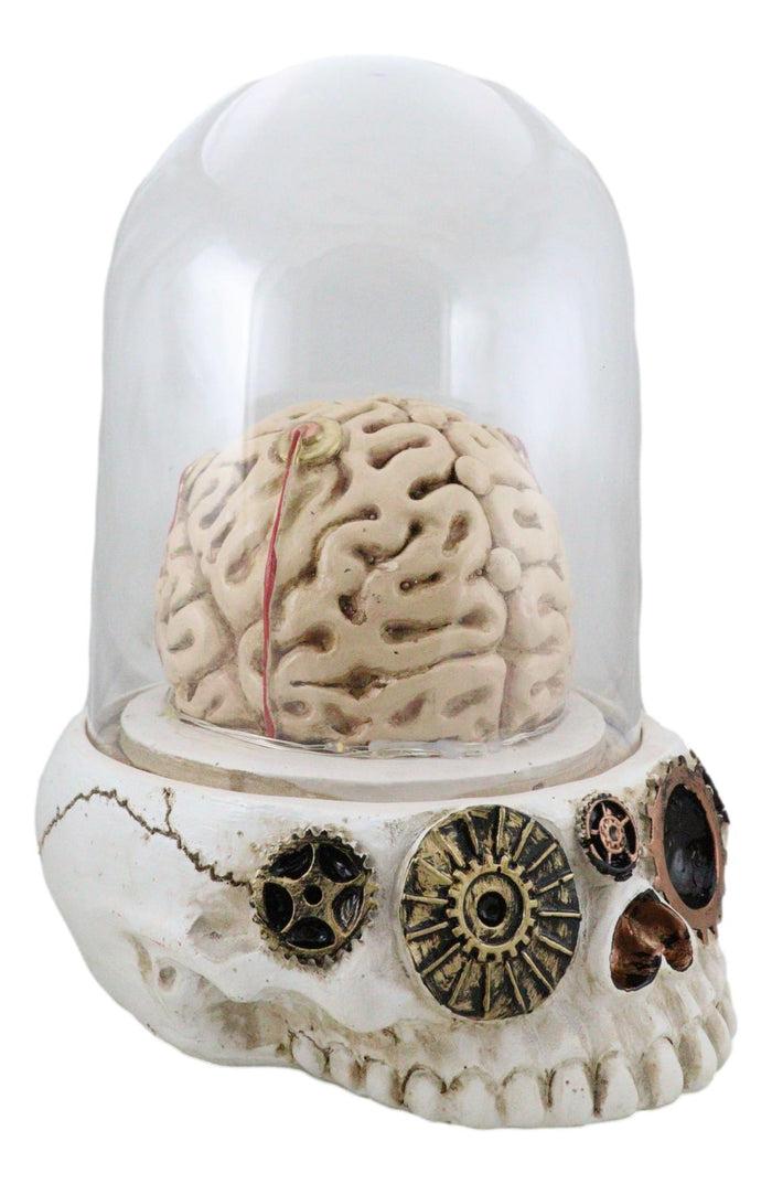 Steampunk Apothecary Gearwork Skull With Brains In LED Light Cloche Glass Dome