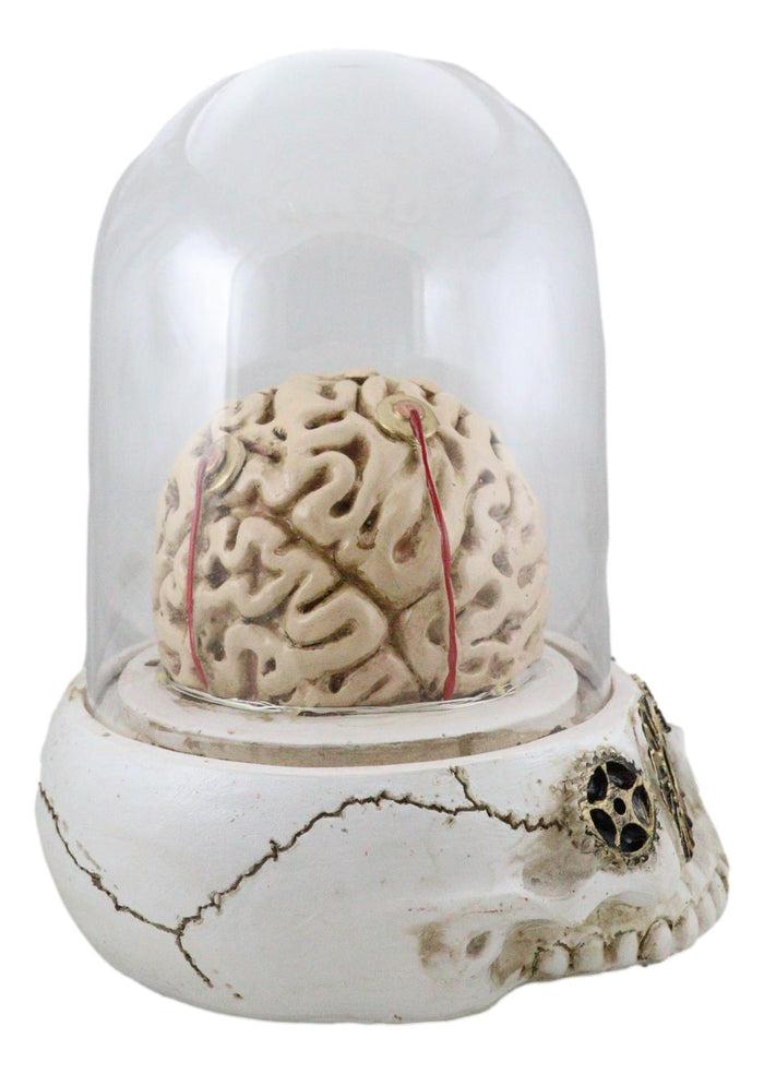 Steampunk Apothecary Gearwork Skull With Brains In LED Light Cloche Glass Dome