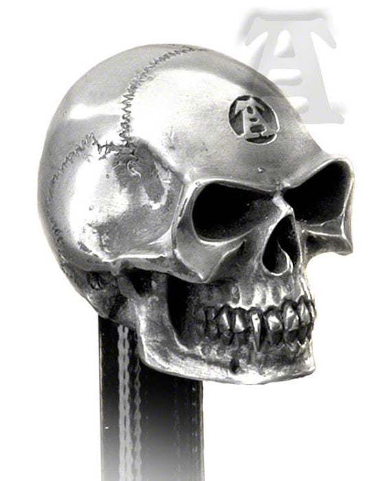 Vault Alchemist Silver Philosophus Magnus Skull Gear Shift Knob Or Paperweight