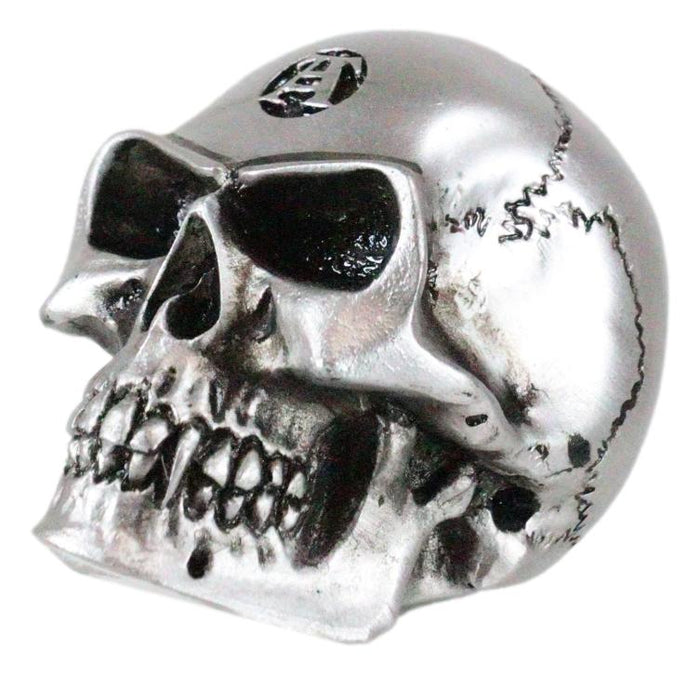 Vault Alchemist Silver Philosophus Magnus Skull Gear Shift Knob Or Paperweight
