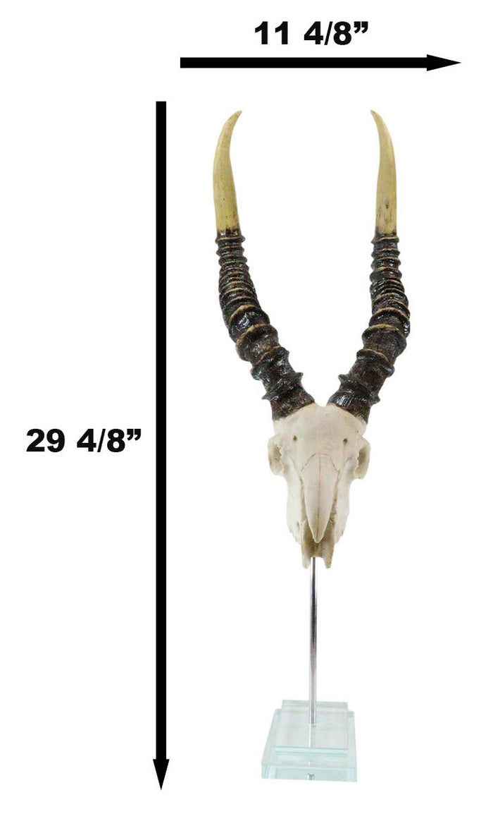 Vintage Faux Taxidermy Kudu Antelope Skull On Museum Pole Mount With Glass Base