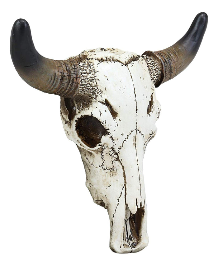 Western Aged White Steer Bison Buffalo Bull Cow Horned Skull Head Wall Decor
