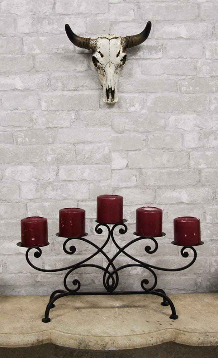 Western Aged White Steer Bison Buffalo Bull Cow Horned Skull Head Wall Decor