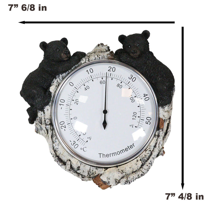 Western Forest Whimsical Black Bear Cubs Climbing On Birch Tree Wall Thermometer