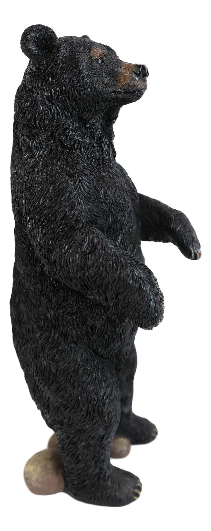 Western Rustic Forest Standing Black Bear Statue 12"H Cabin Lodge Bears Figurine