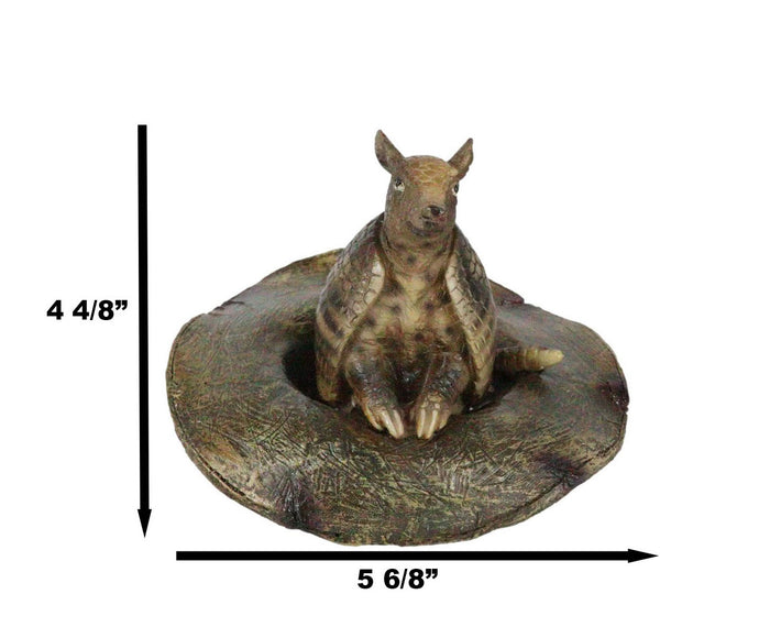 Western Rustic Texas Wild Armadillo Sitting In Cowboy Hat Decorative Figurine