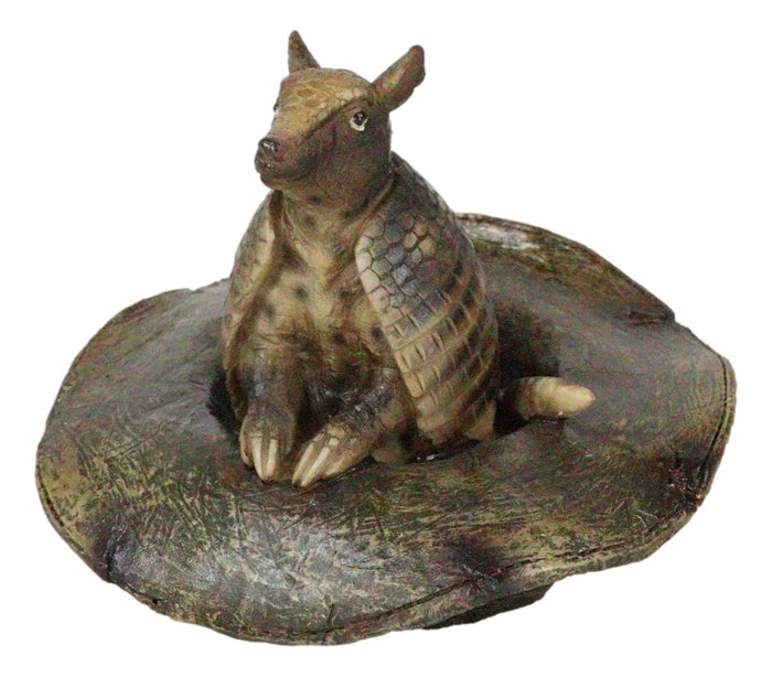 Western Rustic Texas Wild Armadillo Sitting In Cowboy Hat Decorative Figurine
