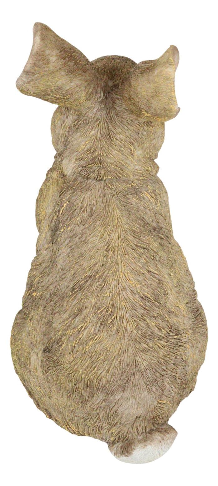 Whimsical Curious Mother Bunny Rabbit Standing Pet Pal Fairy Garden Figurine