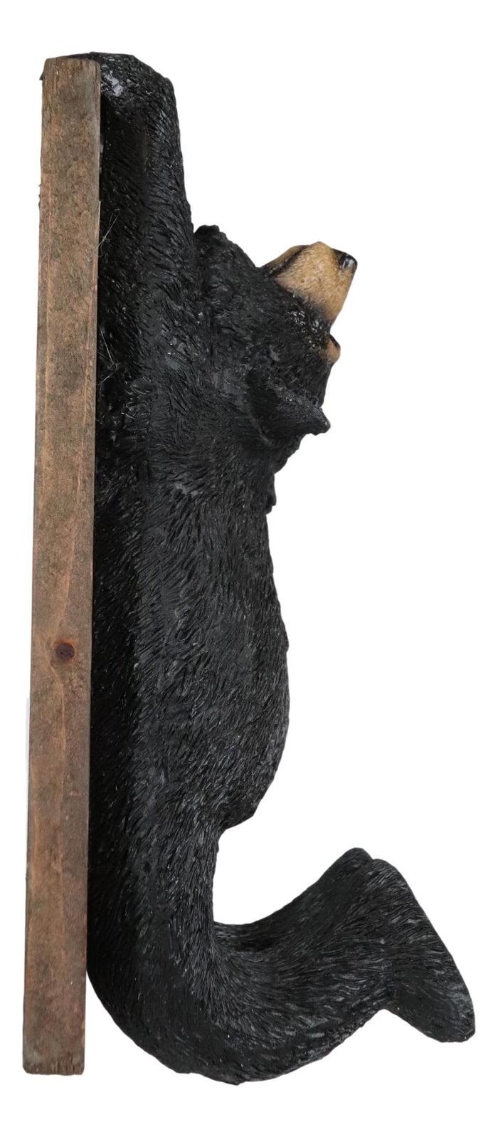Whimsical Rustic Western Black Bear Clinging On Faux Wood Plank Wall Coat Hook
