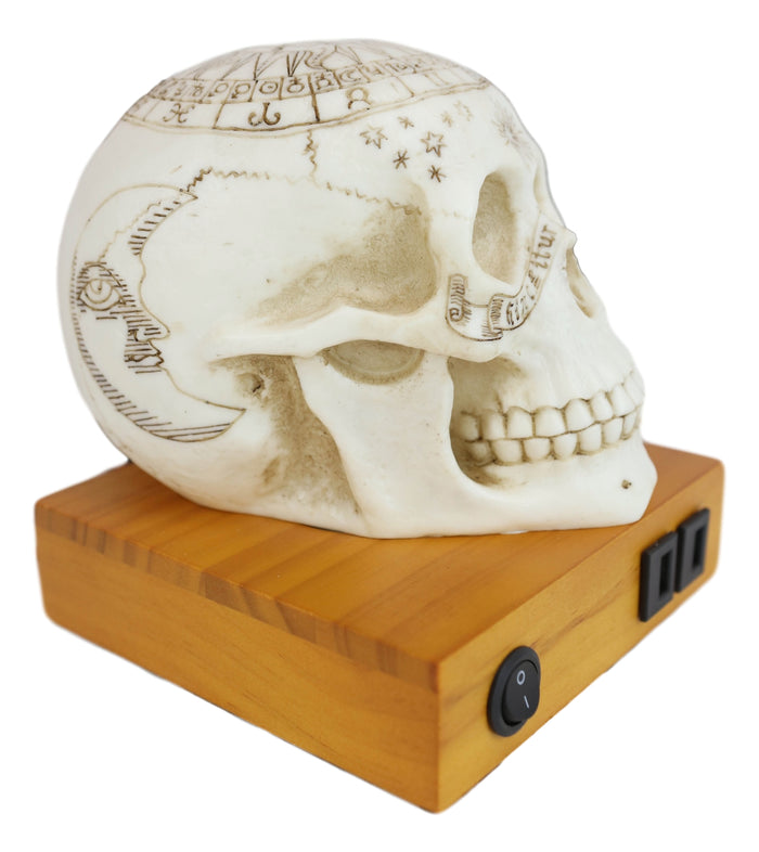 Wicca Astrology Zodiac Skull LED Night Light Statue With USB Charging Wood Base