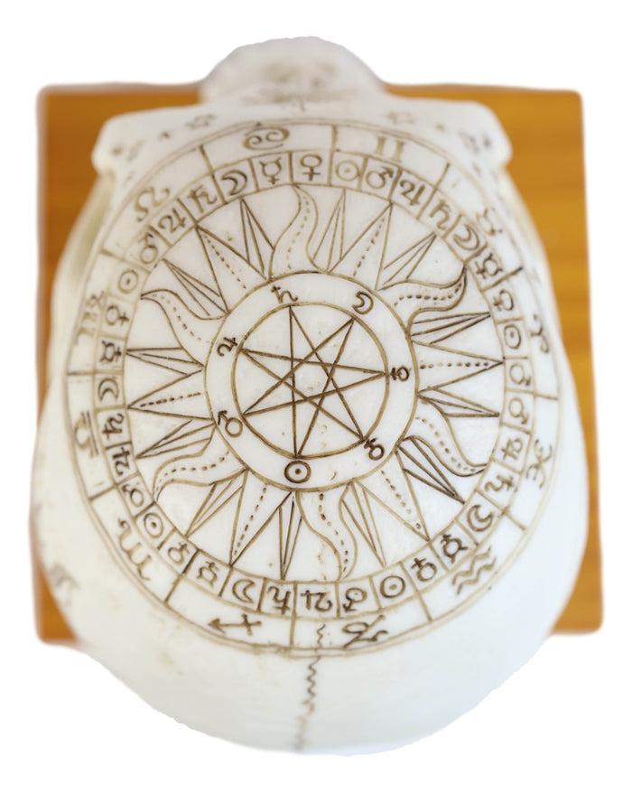 Wicca Astrology Zodiac Skull LED Night Light Statue With USB Charging Wood Base