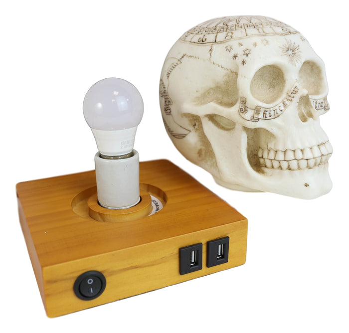 Wicca Astrology Zodiac Skull LED Night Light Statue With USB Charging Wood Base