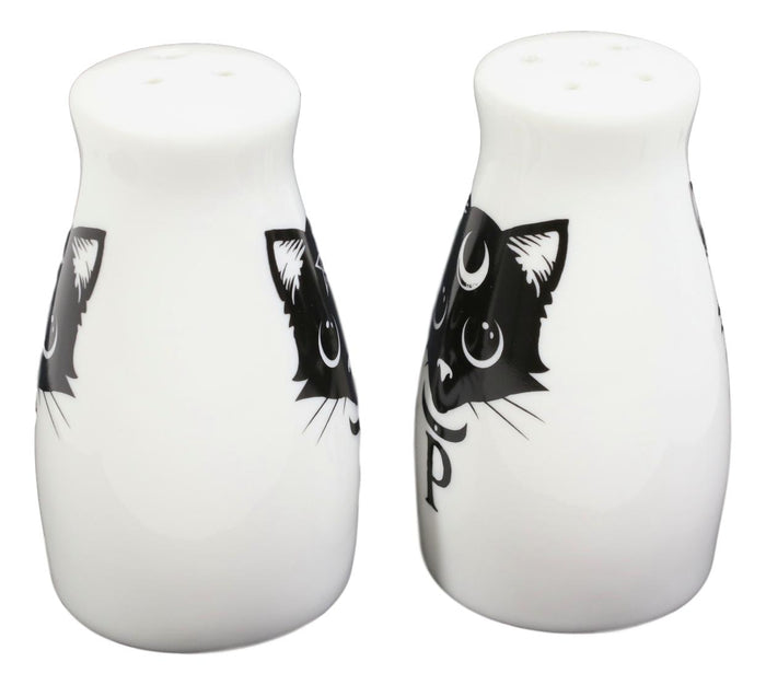Wicca Magic Sacred Cats Pentacle Crescent Moon Ceramic Salt N Pepper Shakers Set