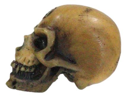Wicca New Age Alchemy Emblem Lapillus Worry Token Skull Gothic Mini Figurine