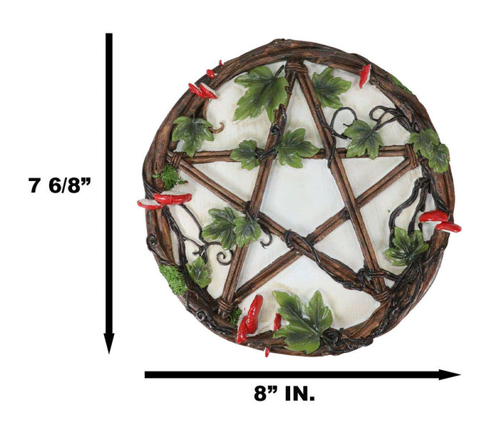 Wicca Toadstool Ivy Leaves Twisted Branches Pentagram Star Wall Decor Plaque