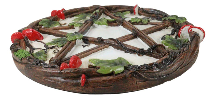 Wicca Toadstool Ivy Leaves Twisted Branches Pentagram Star Wall Decor Plaque