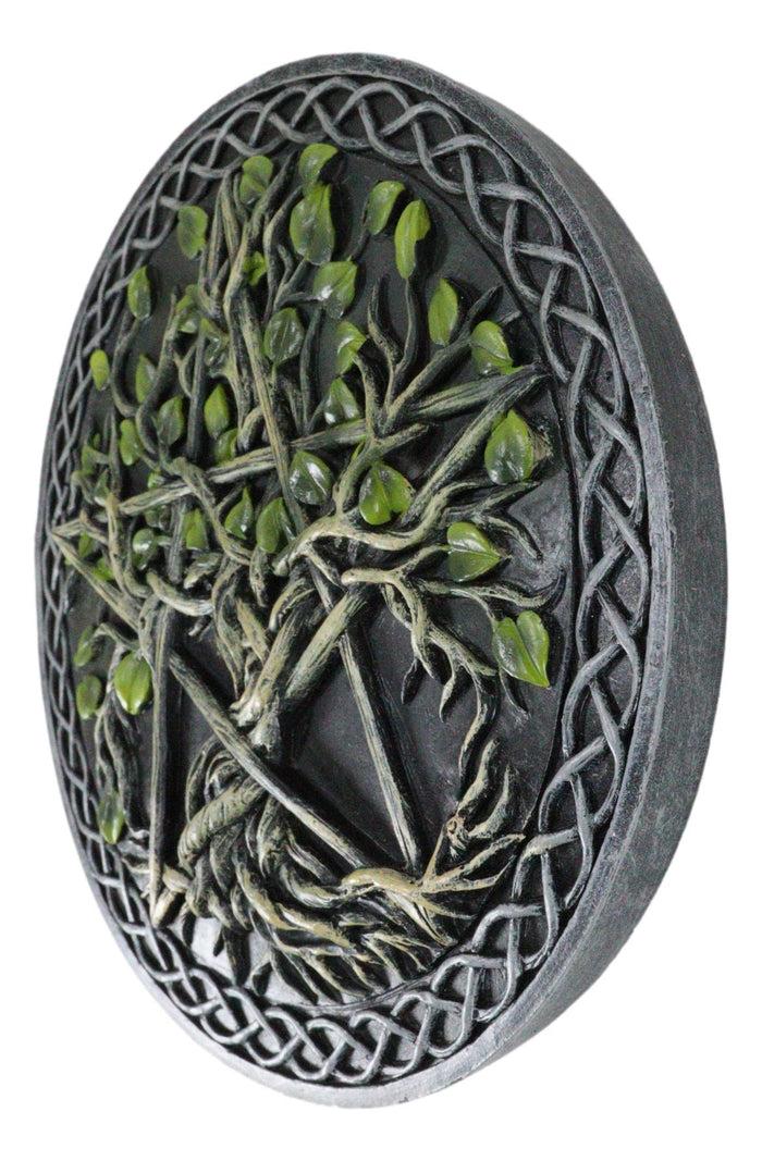 Wicca Twisted Vine Branches Tree Of Life Pentagram Star Decorative Wall Plaque