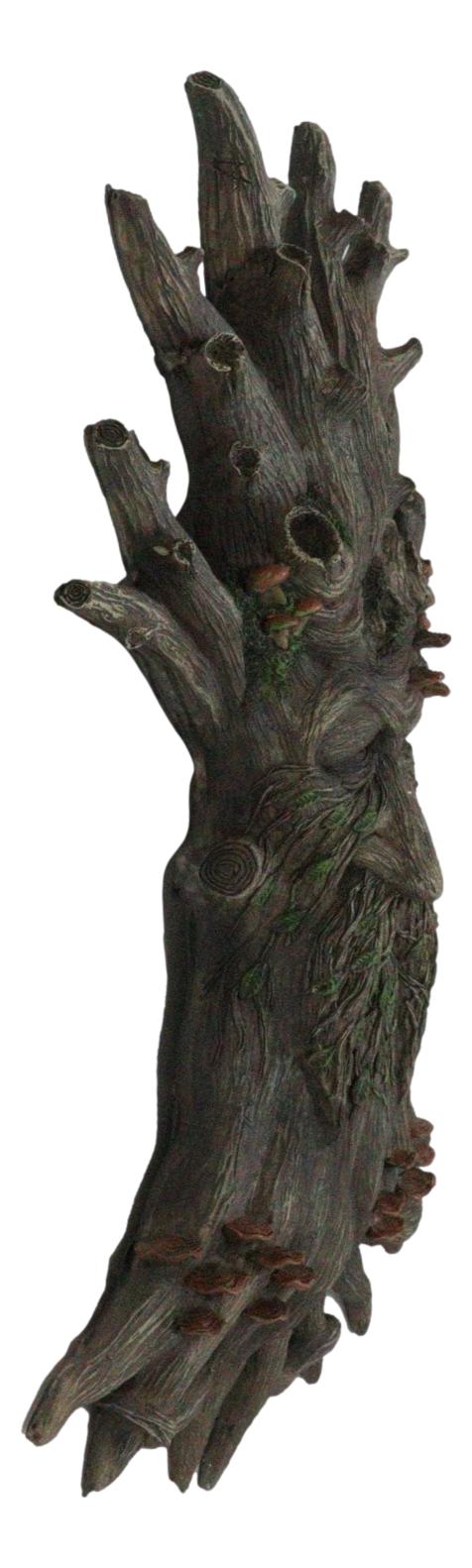 Wiccan Celtic Tree Ent Greenman Tree Man With Bracket Fungi Wall Decor Plaque