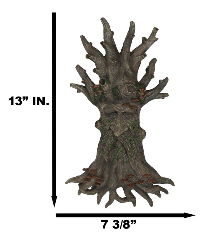 Wiccan Celtic Tree Ent Greenman Tree Man With Bracket Fungi Wall Decor Plaque