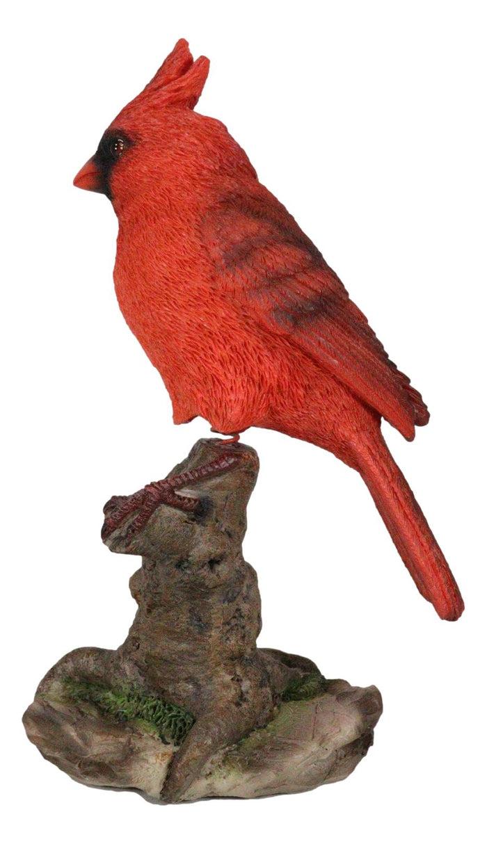 Wild Northern Red Cardinal Bird Perching On Tree Stump Spring Bouncing Figurine