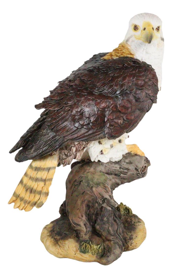 Wildlife Bald Eagle On Tree Stump Statue Birds Of Prey Figurine 10"H