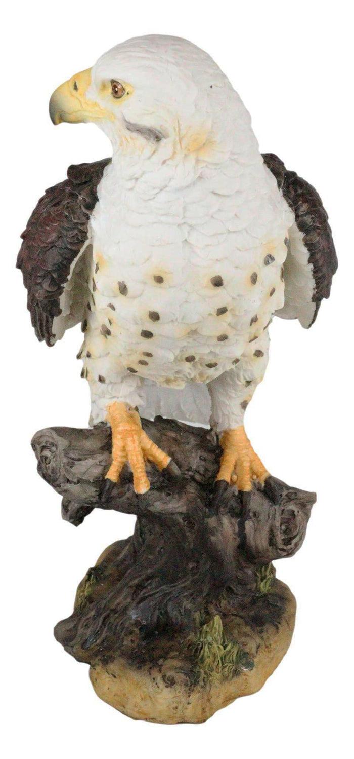 Wildlife Bald Eagle On Tree Stump Statue Birds Of Prey Figurine 10"H