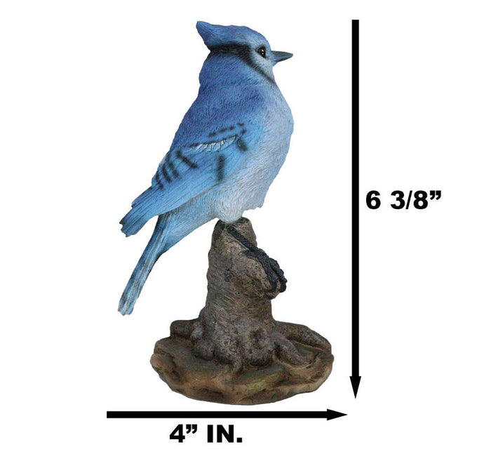 Wildlife Blue Jay Passerine Bird Perching On Tree Stump Spring Bouncing Figurine