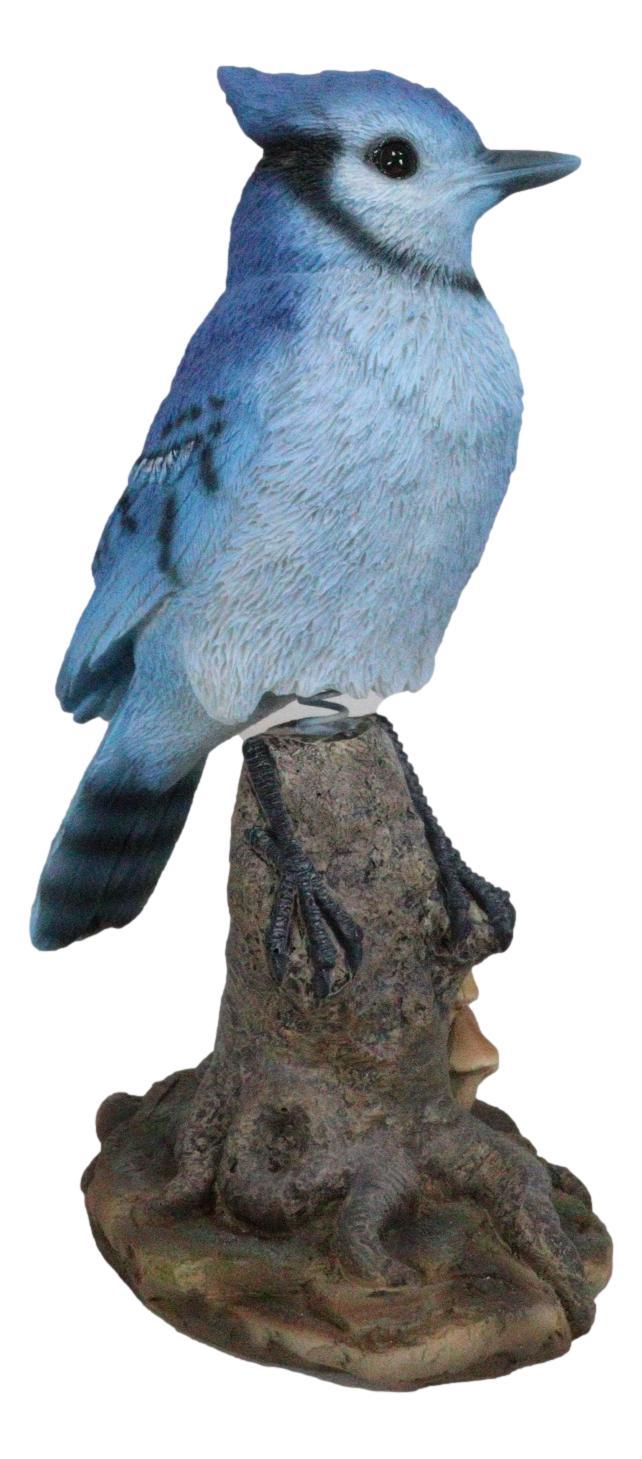 Wildlife Blue Jay Passerine Bird Perching On Tree Stump Spring Bouncing Figurine