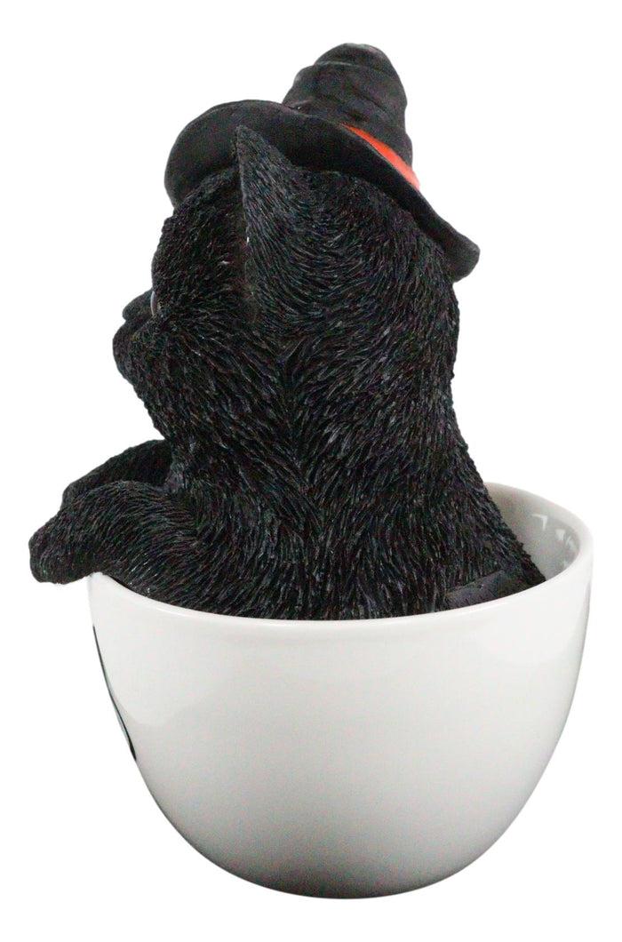 Witching Hour Halloween Black Cat With Witch Hat In Tea Cup Pet Pal Figurine