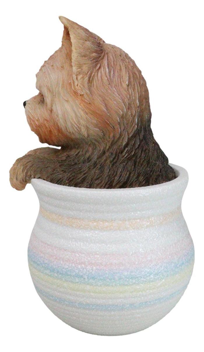 Yorkie Yorkshire Terrier Teacup Puppy Dog Figurine With Glass Eyes Pup In Pot
