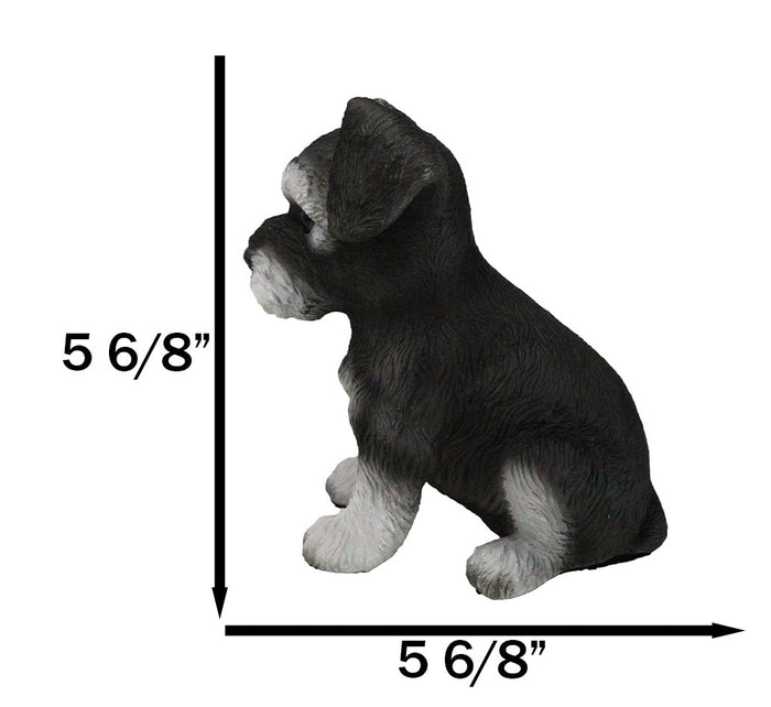 Adorable Black And Silver Miniature Schnauzer Puppy Dog Home Decor Figurine