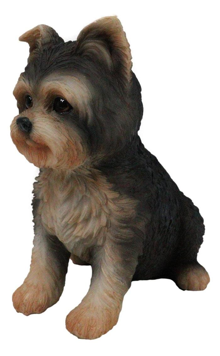 Adorable Lifelike Pet Pal Sitting Yorkie Terrier Puppy Home Decor Figurine