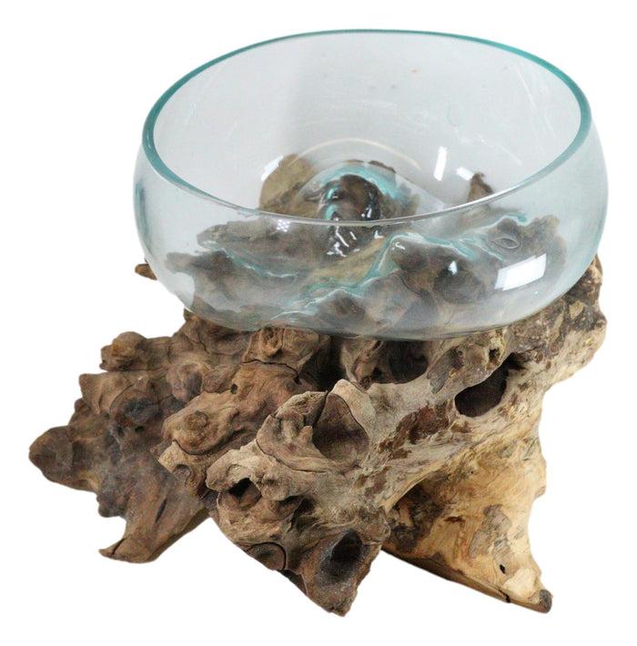 Balinese Natural Driftwood With Large Molten Glass Fruit Succulents Decor Bowl