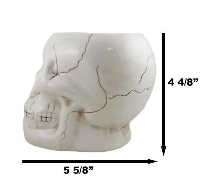 Ceramic Spooky Jointed Homosapien Human Skull Cereal Treat Soup Bowl 32oz