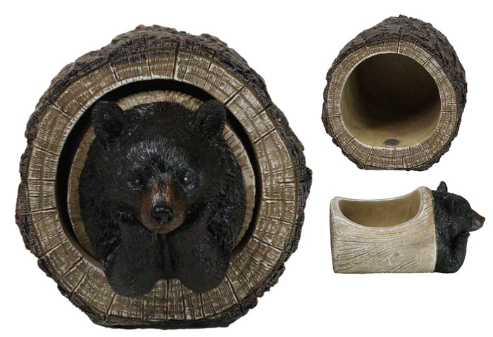 Daydreaming Black Bear In Tree Log Home Decorative Jewelry Trinket Box Figurine