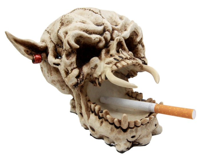 Demon Pirate Skull Figurine 6.5"L Fanged Bone Vampire Marauder Skeleton Decor