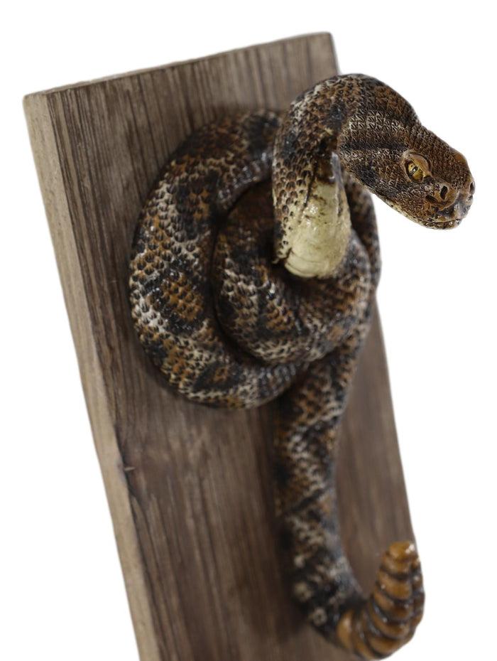 Diamondback Rattlesnake Taxidermy Wall Hook On Wooden Plank Decor Sculpture