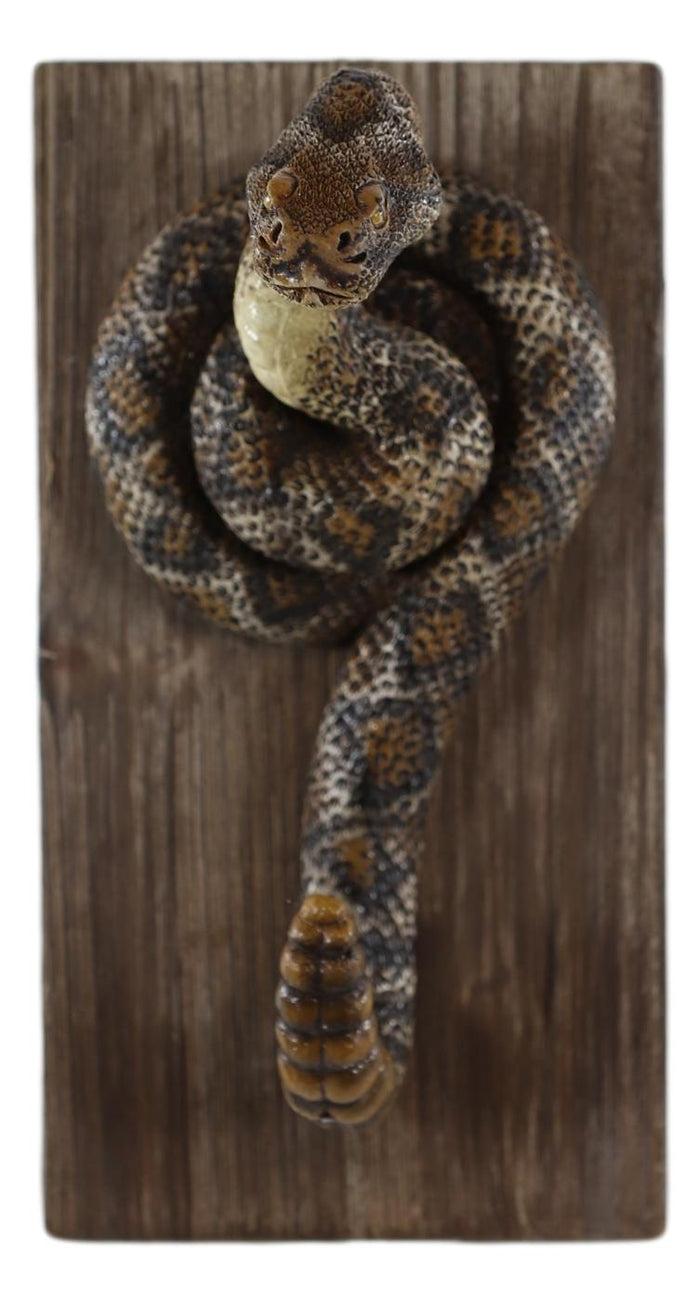 Diamondback Rattlesnake Taxidermy Wall Hook On Wooden Plank Decor Sculpture