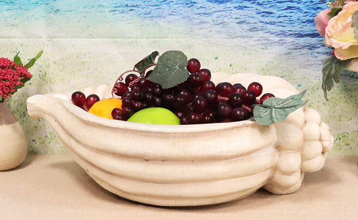 Ebros 16" Long Nautical Ocean Giant Sea Tun Shell Display Container Dish Bowl