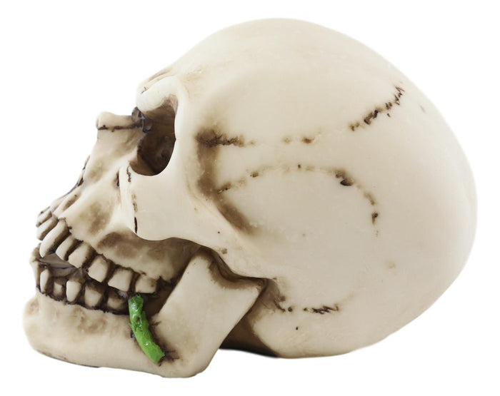 Ebros Black Tango Vampire Skull Biting Pale Rose Stalk Figurine 5"L Ossuary