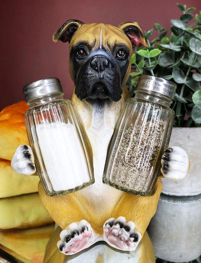 Ebros Fawn Boxer Puppy Dog Hugging Glass Salt Pepper Shakers Holder 6.25"High