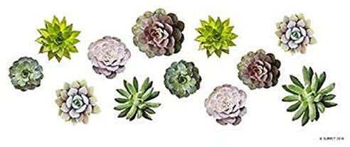 Ebros Gift Succulent Plant Mug Ceramic Coffee Mug 11 Ounces Capacity 3.75"H