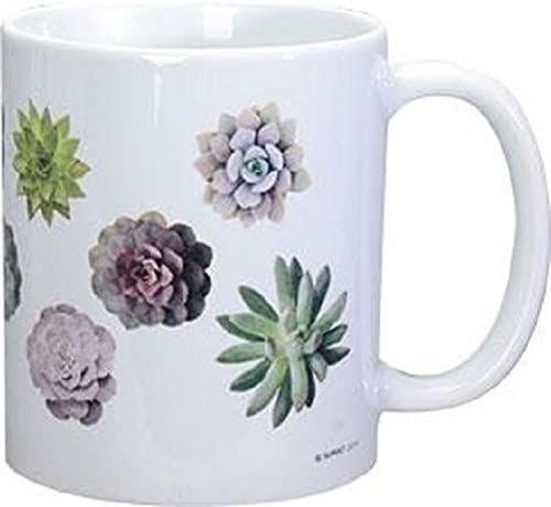 Ebros Gift Succulent Plant Mug Ceramic Coffee Mug 11 Ounces Capacity 3.75"H