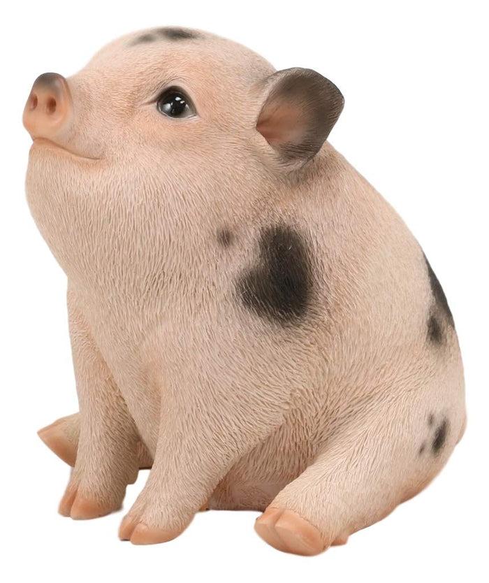 Ebros Napoleon Fat Piglet Pig Statue 6" Long With Glass Eyes Piggy Figurine