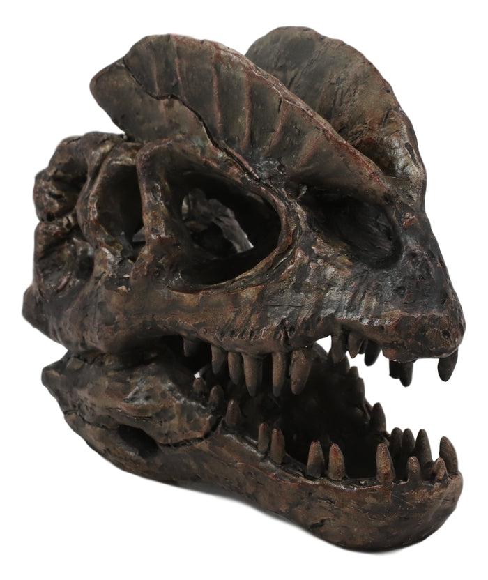 Faux Taxidermy Replica Dilophosaurus Dinosaur Head Fossil Small Skull Figurine